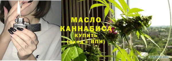 шишки Тутаев