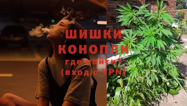 шишки Тутаев