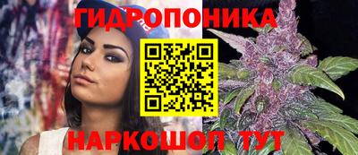 трава Кинель