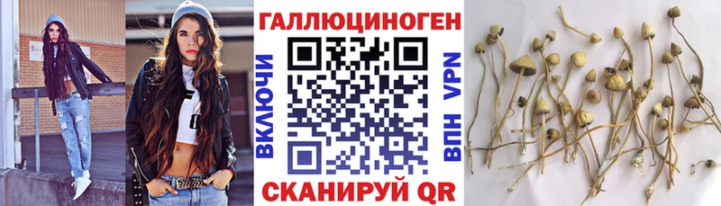 Псилоцибиновые грибы Magic Shrooms  цена наркотик  Учалы 