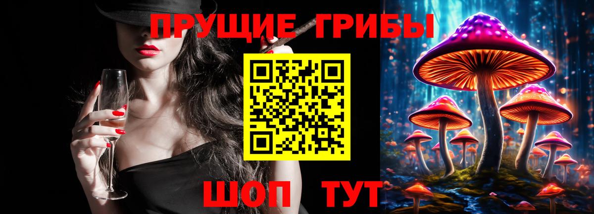 что такое наркотик  Учалы  Галлюциногенные грибы Psilocybine cubensis 