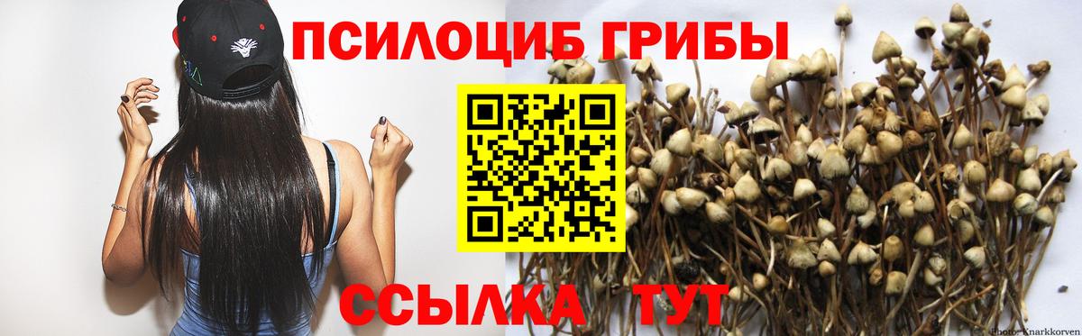 Псилоцибиновые грибы MAGIC MUSHROOMS Учалы